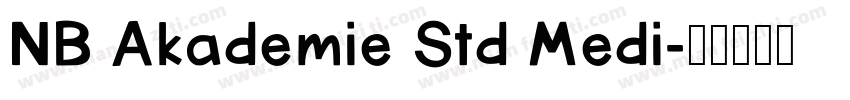 NB Akademie Std Medi字体转换